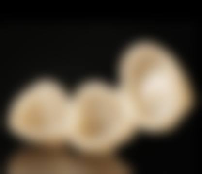 珠海诺贝尔口腔（新香洲门诊）擅长项目