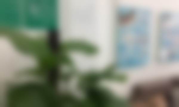 广州德康口腔诊所医生名单：专精的医疗团队