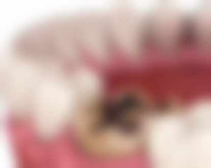 三岁小孩牙齿地包天在韩国 alive 皮肤科矫正怎么样?