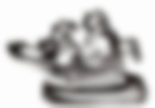 黄石市中 心医院口腔科医生名单