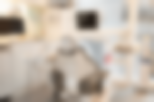 福州晋安海狸家口腔门诊部电话号码