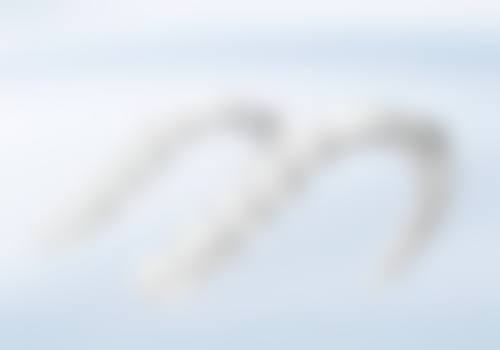 温州匠心口腔诊所营业时间：方便你的就诊