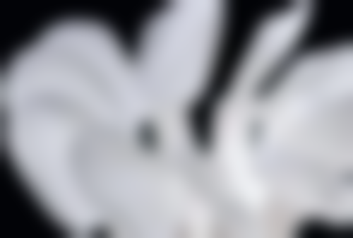 曾宏毅医生真实实例