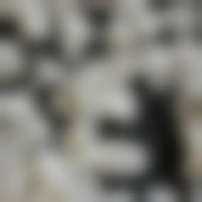 阜阳张国蕊口腔诊所执业信息