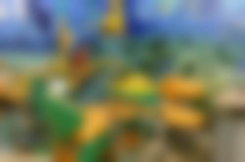 马青医生荣誉资质：实力的象征