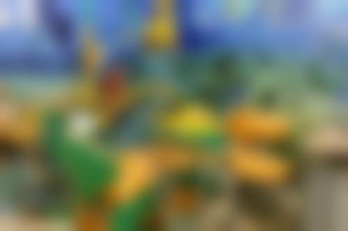 马青医生坐诊医院：信阳植得口腔门诊部