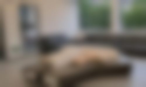 青岛博霖第二口腔门诊部执业信息