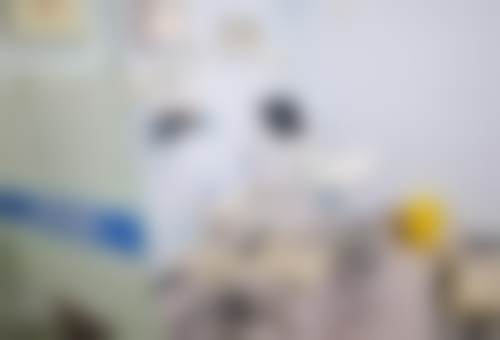 上海刘勇口腔门诊部擅长项目