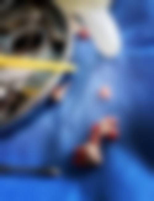 河南商丘景丰口腔门诊预约挂号方式