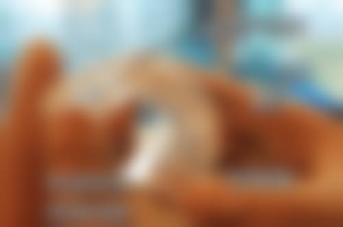 东莞固德口腔门诊部（万达广场分院）价格表