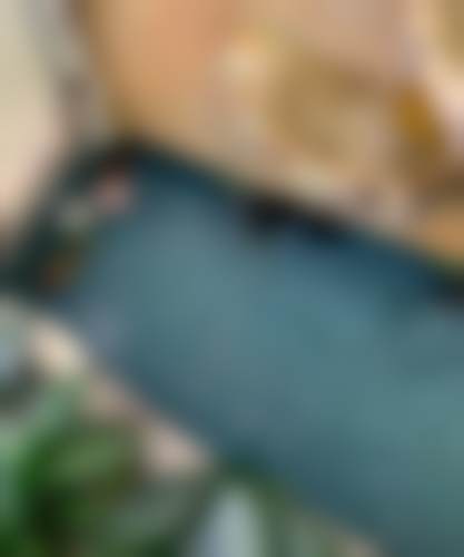 东莞固德口腔门诊部（万达广场分院）执业信息