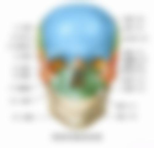 重庆北碚刘萍口腔营业时间：方便你的就诊安排