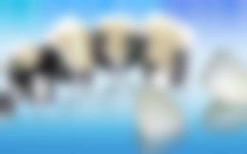 东莞芳香口腔诊所仪器设备：精良科技助力治疗