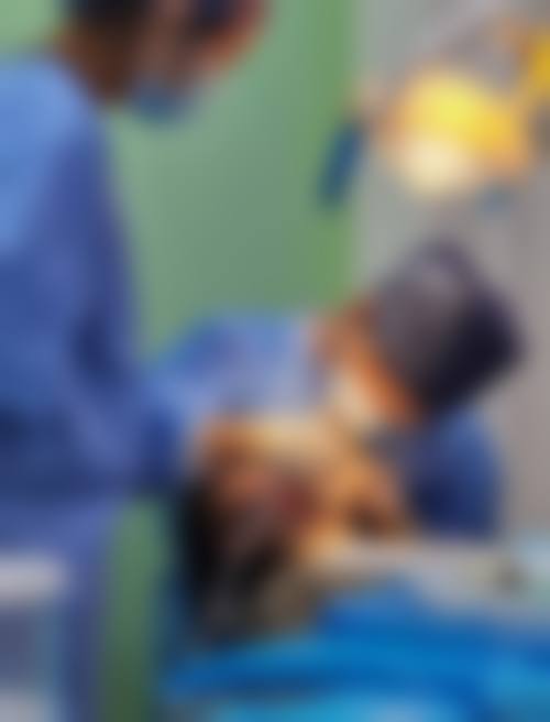 哈尔滨张丽口腔门诊部(通达店)预约挂号方式