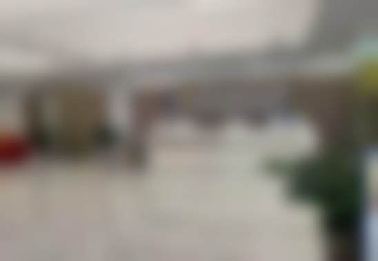 陆冠充医生擅长项目