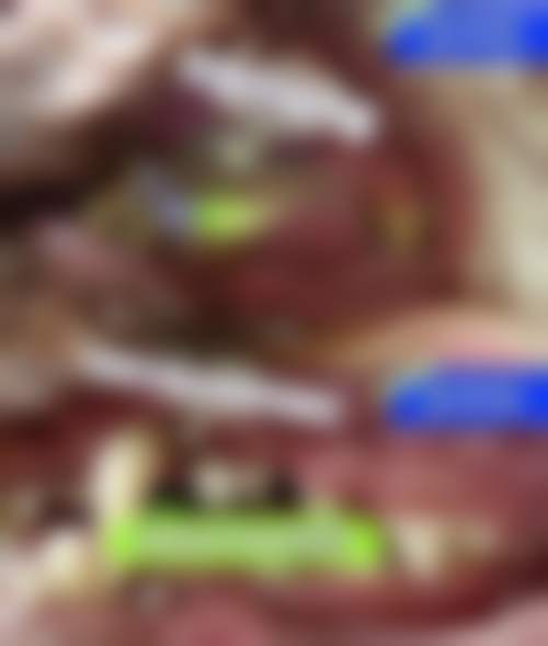 上海久久口腔·齿科门诊(曹路店)仪器设备