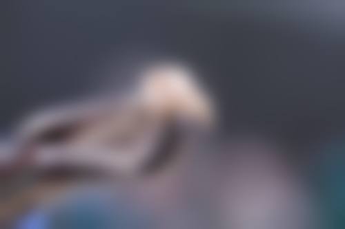 广东广州优越会口腔营业时间