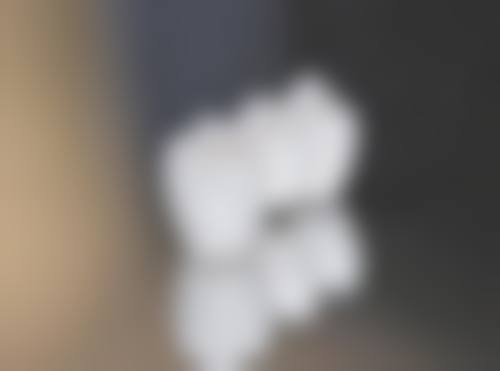 广东韶关麦芽口腔仪器设备
