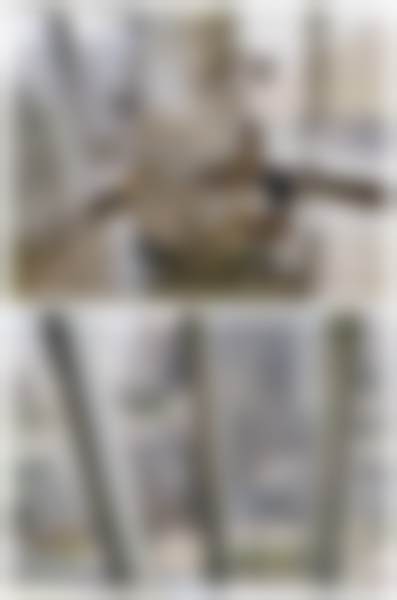 深圳茵齿乐口腔地址环境与营业时间