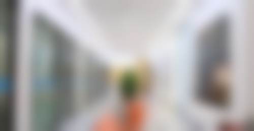 用户真实反馈与口碑效应分析