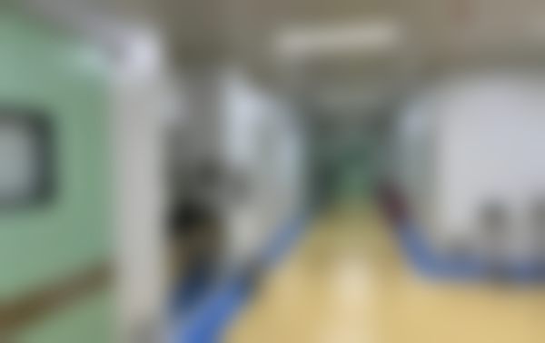 马宁的收费标准与性价比分析